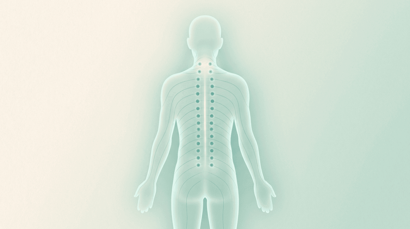 Translucent figure shown from behind with seafoam markers at the injection points along the spine